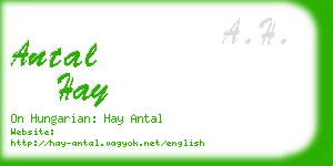 antal hay business card